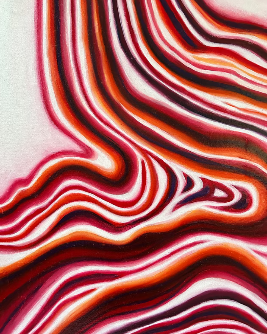 Patterns of Nature Collection